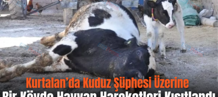 Kurtalan’da Kuduz Şüphesi Üzerine Bir Köyde Hayvan Hareketleri Kısıtlandı