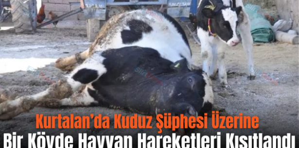 Kurtalan’da Kuduz Şüphesi Üzerine Bir Köyde Hayvan Hareketleri Kısıtlandı