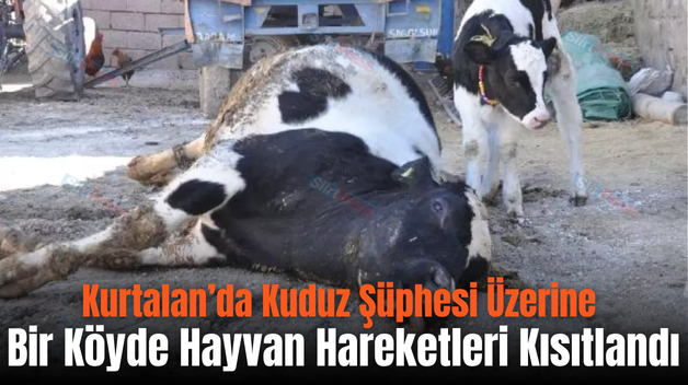 Kurtalan’da Kuduz Şüphesi Üzerine Bir Köyde Hayvan Hareketleri Kısıtlandı