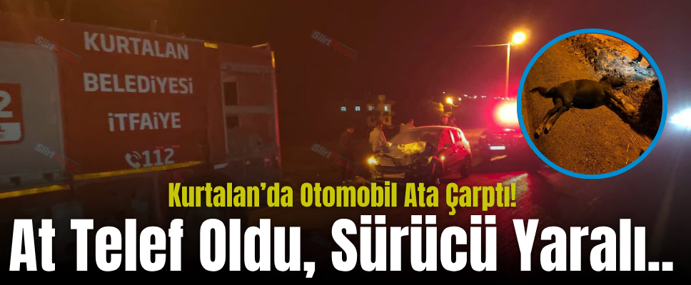 Kurtalan’da Otomobil Ata Çarptı! At Telef Oldu, Sürücü Yaralı..