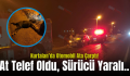 Kurtalan’da Otomobil Ata Çarptı! At Telef Oldu, Sürücü Yaralı..