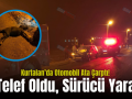 Kurtalan’da Otomobil Ata Çarptı! At Telef Oldu, Sürücü Yaralı..