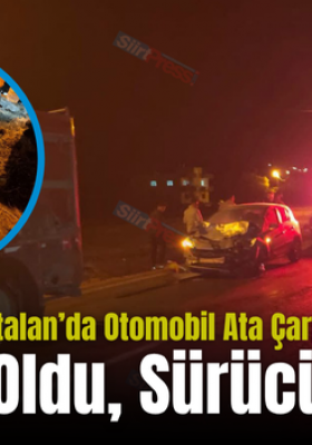 Kurtalan’da Otomobil Ata Çarptı! At Telef Oldu, Sürücü Yaralı..