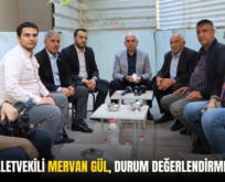 SİİRT MİLLETVEKİLİ MERVAN GÜL, DURUM DEĞERLENDİRMESİ YAPTI