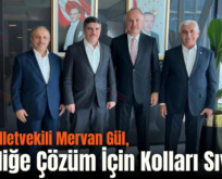 Siirt Milletvekili Mervan Gül, İşsizliğe Çözüm İçin Kolları Sıvadı