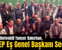 Siirt Milletvekili Tuncer Bakırhan, HEDEP Eş Genel Başkanı Seçildi