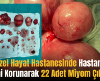 Siirt Özel Hayat Hastanesinde Hastanın Rahimi Korunarak 22 Adet Miyom Çıkarıldı