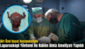 Siirt Özel Hayat Hastanesinde Laparoskopi Yöntemi İle Rahim Alma Ameliyatı Yapıldı
