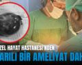 SİİRT ÖZEL HAYAT HASTANESİ’NDEN BAŞARILI BİR AMELİYAT DAHA!..