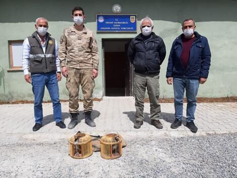 Siirt’in Pervari ilçesinde avlanma yasağı olmasına rağmen canlı keklik avlamaya