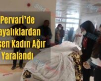 Pervari’de Kayalıklardan Düşen Kadın Ağır Yaralandı