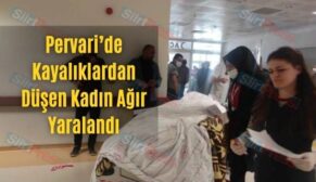 Pervari’de Kayalıklardan Düşen Kadın Ağır Yaralandı