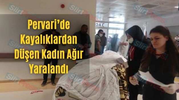 Pervari’de Kayalıklardan Düşen Kadın Ağır Yaralandı