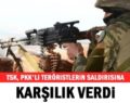 PERVARİ’DE PKK’LILARDAN TACİZ ATEŞİ