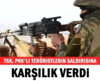 PERVARİ’DE PKK’LILARDAN TACİZ ATEŞİ