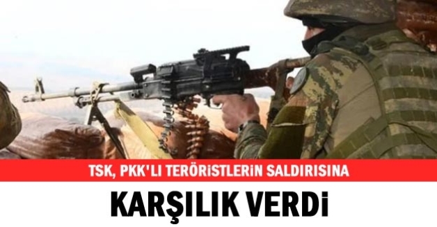 PERVARİ’DE PKK’LILARDAN TACİZ ATEŞİ