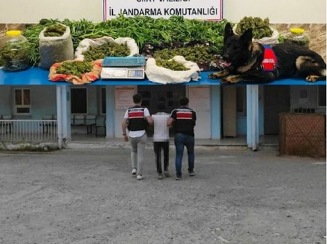 Siirt İl Jandarma Komutanlığına bağlı ekiplerce, Pervari ilçesinde düzenlenen operasyonda