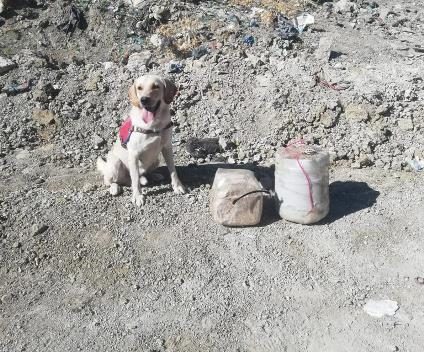 Siirt’in Pervari ilçe kırsalında terör örgütü PKK’ya yönelik düzenlenen operasyonda yola döşenmiş