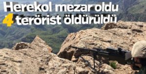 Türk Silahlı Kuvvetleri (TSK) mensuplarınca Siirt’in Pervari ilçesinde terör örgütü