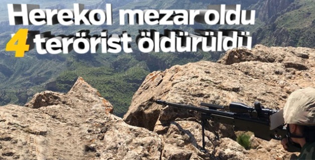 HEREKOL DAĞI ONLARA MEZAR OLDU