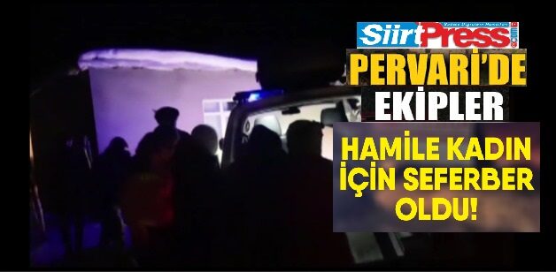 Siirt’in Pervari ilçesinde etkili olan kar yağışı nedeniyle mahsur kalan