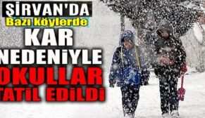 Şirvan’da Bazı Köylerde Okullara Kar Nedeniyle Ara Verildi