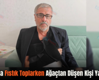 Şirvan’da Fıstık Toplarken Ağaçtan Düşen Kişi Yaralandı