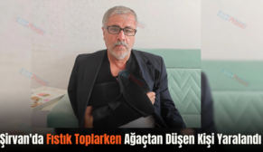 Şirvan’da Fıstık Toplarken Ağaçtan Düşen Kişi Yaralandı