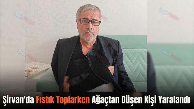 Şirvan’da Fıstık Toplarken Ağaçtan Düşen Kişi Yaralandı