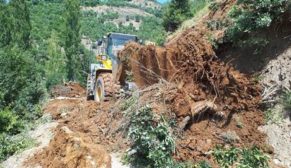 ŞİRVAN’DA HEYELAN AĞAÇLARI YERİNDEN SÖKTÜ