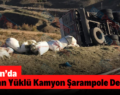 Şirvan’da Saman Yüklü Kamyon Şarampole Devrildi