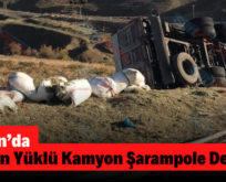 Şirvan’da Saman Yüklü Kamyon Şarampole Devrildi