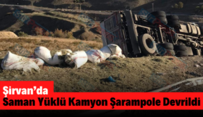 Şirvan’da Saman Yüklü Kamyon Şarampole Devrildi