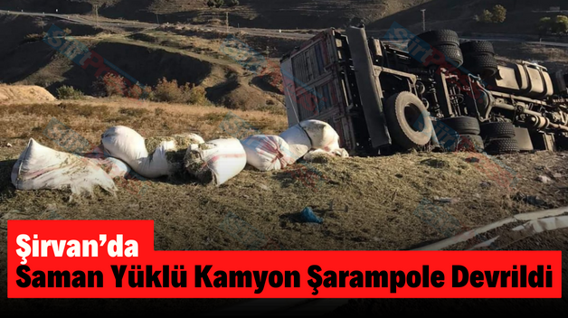 Şirvan’da Saman Yüklü Kamyon Şarampole Devrildi