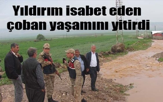 Siirt’te yıldırım düşmesi sonucu dağda koyunlarını otlatan çoban hayatını kaybetti.