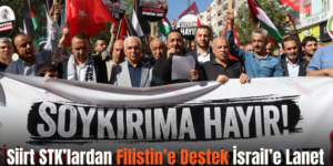 Siirt STK’lardan Filistin’e Destek İsrail’e Lanet