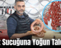 Siirt Sucuğuna Yoğun Talep!..