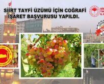 SİİRT ‘TAYFİ ÜZÜMÜ’ İÇİN COĞRAFİ İŞARET BAŞVURUSU YAPILDI