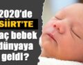 SİİRT’TE 2020 YILINDA KAÇ BEBEK DÜNYAYA GELDİ?