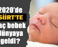 SİİRT’TE 2020 YILINDA KAÇ BEBEK DÜNYAYA GELDİ?