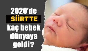 SİİRT’TE 2020 YILINDA KAÇ BEBEK DÜNYAYA GELDİ?