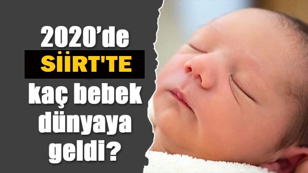 Türkiye İstatistik Kurumu (TÜİK) Siirt Bölge Müdürlüğü 2020 yılı Doğum