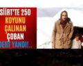 Siirt’te 250 Koyunu Çalınan Çoban, Dert Yandı!..