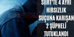 Siirt’te 4 Ayrı Hırsızlık Suçuna Karışan 2 Şüpheli Tutuklandı