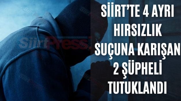 Siirt’te 4 Ayrı Hırsızlık Suçuna Karışan 2 Şüpheli Tutuklandı