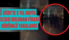 Siirt’te 5 Yıl Hapis Cezası Bulunan Firari Hükümlü Yakalandı