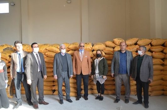 Siirt’te İl Tarım Müdürlüğünce çiftçilere 45 ton sertifikalı mercimek tohumu