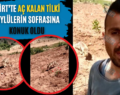 Siirt’te Aç Kalan Tilki Köylülerin Sofrasına Konuk Oldu