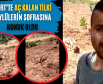 Siirt’te Aç Kalan Tilki Köylülerin Sofrasına Konuk Oldu