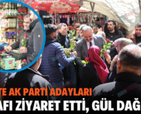 SİİRT’TE AK PARTİ ADAYLARI ESNAFI ZİYARET ETTİ, GÜL DAĞITTI